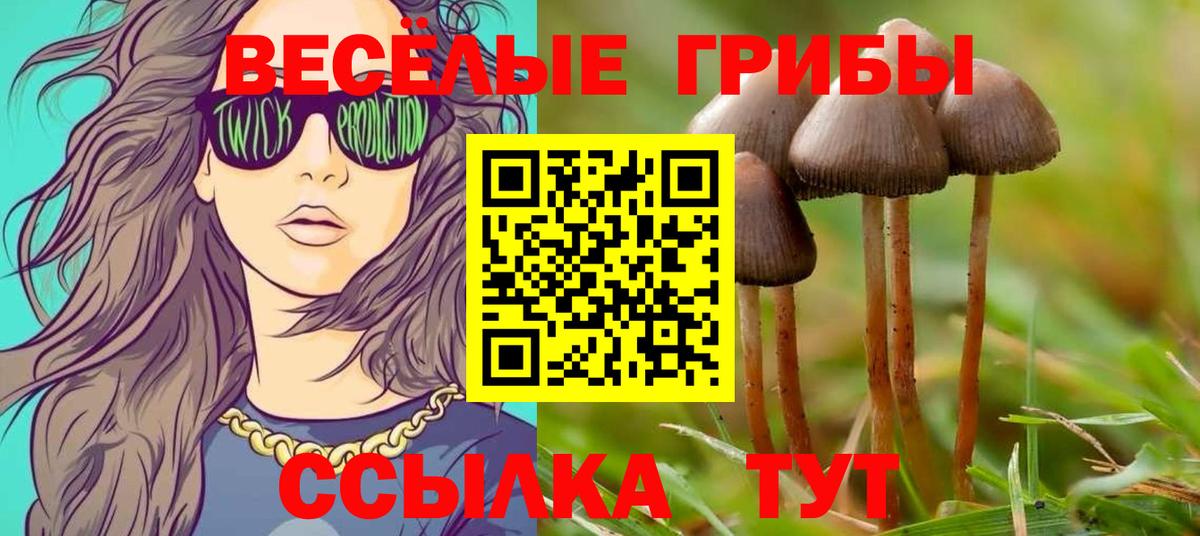 Галлюциногенные грибы Magic Shrooms  Вход с VPN  Павловский Посад  магазин  наркотиков  Псилоцибиновые грибы Psilocybine cubensis 