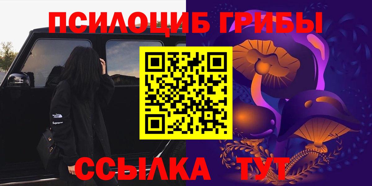 Псилоцибиновые грибы Psilocybine cubensis Павловский Посад